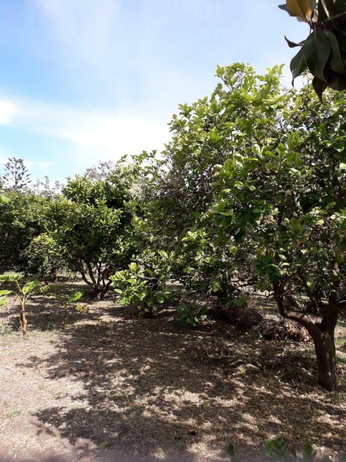 Casa Agrumeto Στρόμπολι Εξωτερικό φωτογραφία